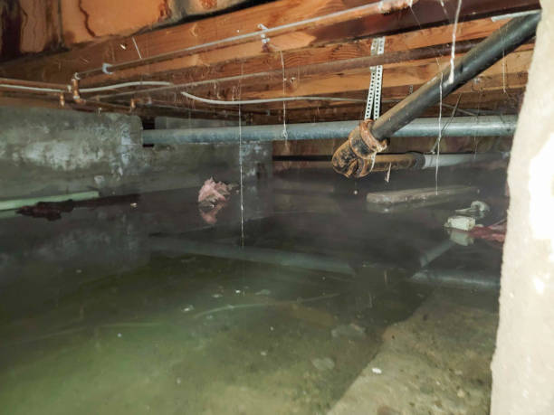 Best 24-hour water damage restoration  in Dilkon, AZ