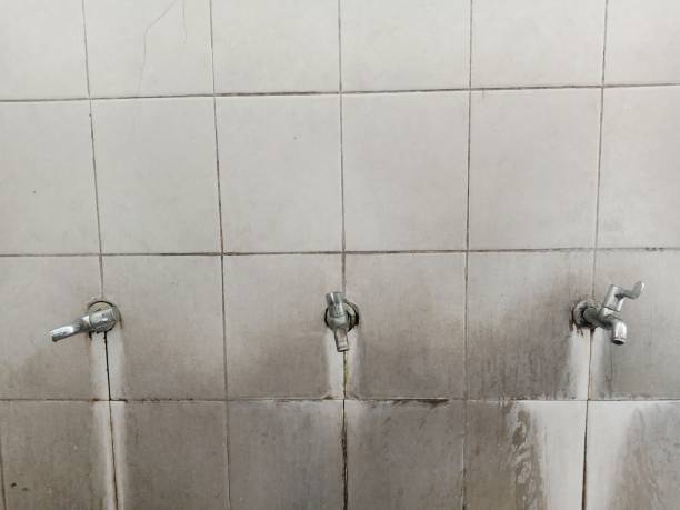 Best Water damage restoration near me  in Dilkon, AZ