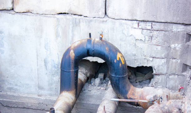 Best Flood restoration services  in Dilkon, AZ