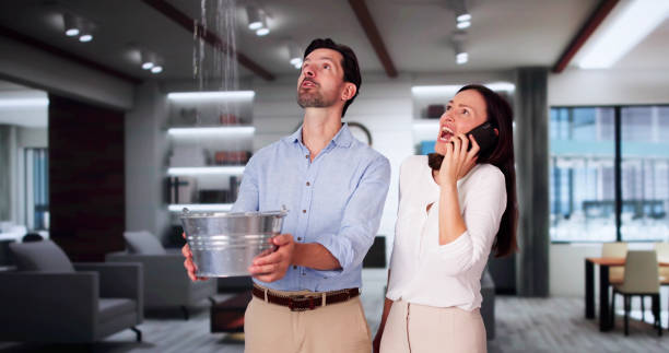 Best Sewage cleanup and water damage restoration  in Dilkon, AZ
